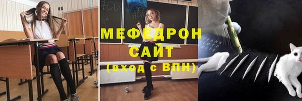 ешки Дмитриев
