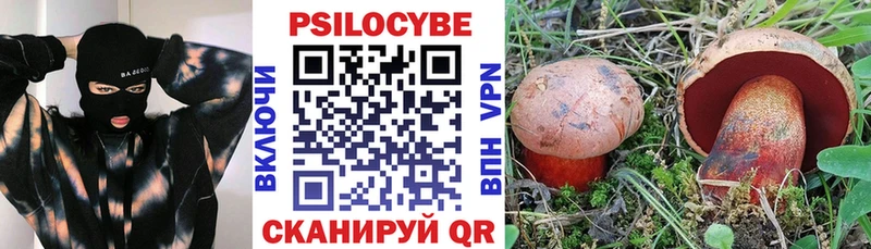 Галлюциногенные грибы GOLDEN TEACHER  Купить где  Томилино 